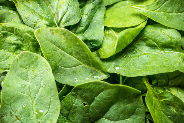 Zöld levelek friss spenótból közelről. Egészséges vegetáriánus étel. A kilátás felülről. - Fotó, kép