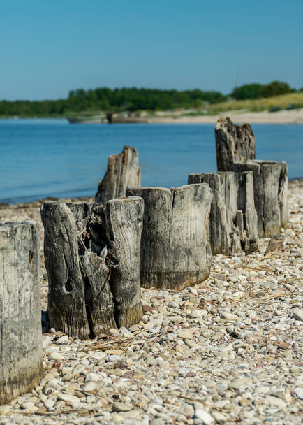 sunny landscape with rocky sea shore and old wooden piles, Baltic sea shore, Saaremaa, Sorves peninsula, Estonia - Foto, Imagem
