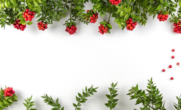Christmas background with Red Berry Kokina Flower. - Foto, imagen