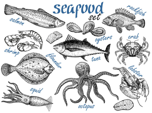 Hand drawn sketch set of seafood. Crab, lobster, shrimp, oyster, fish and squid. Engraved vintage template. Fish and sea food restaurant menu, flyer, business card promo. Vector retro illustrations - Вектор, зображення