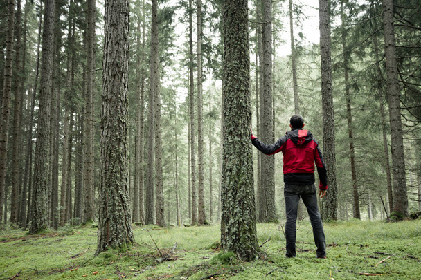 człowiek chodzący samotnie w lesie w pochmurny dzień - Zdjęcie, obraz