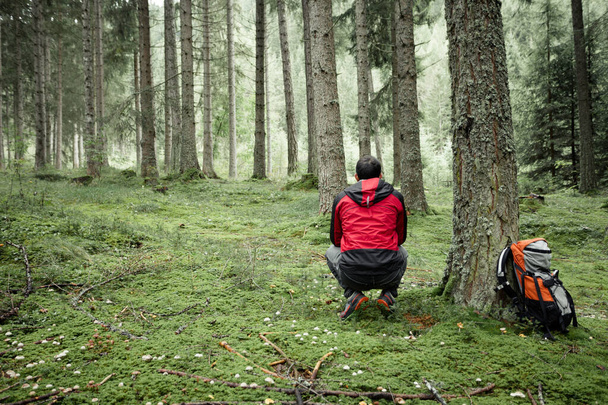 człowiek chodzący samotnie w lesie w pochmurny dzień - Zdjęcie, obraz