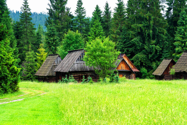 Schäferhütte im Nationalpark Polnische Tatra. In Hütten werden Schafe gehalten und traditioneller Hochlandkäse - oscypki oder oscypek - hergestellt. Jurgow, Polen - Foto, Bild