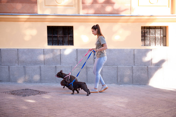 Young girl taking her cute blue french bulldogs for a walk in the streets - Fotó, kép