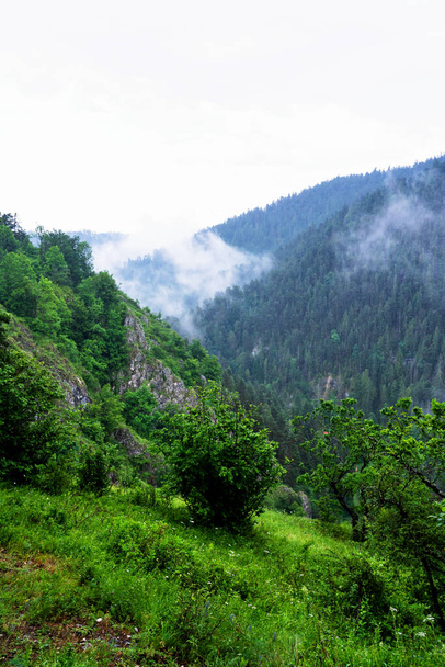 Vista panorámica desde un sendero en el Parque Nacional Slovak Paradise, Eslovaquia
 - Foto, Imagen