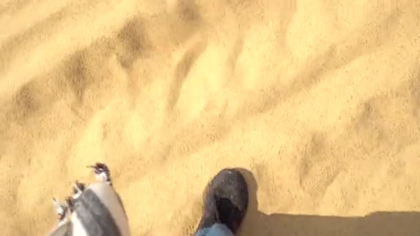 Bau Trang zandduinen, sub-Sahara woestijn in Binh Thuan provincie - Video