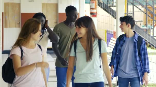 Grupo de cinco estudantes adolescentes multi étnicos sorrindo e caminhando. Movimento lento
 - Filmagem, Vídeo