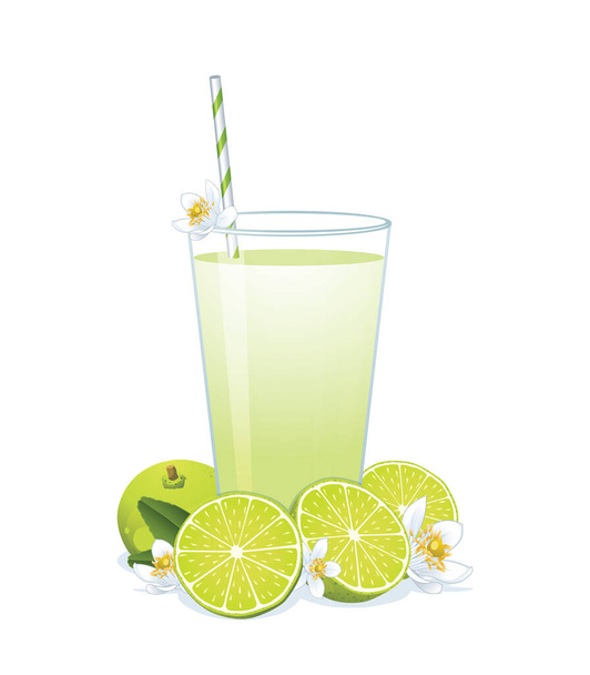 Glass of lime juice ,limes and blossom isolated on white background. - Vektor, kép