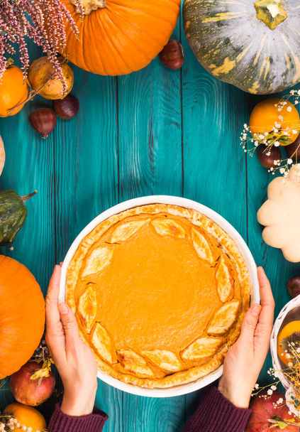 Pumpkin pie, different pumpkins, fall fruit - Photo, image