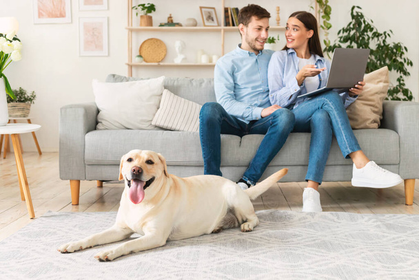 Молода щаслива пара сидить на дивані з ПК і собакою
 - Фото, зображення