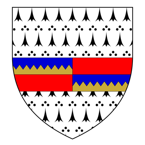 Escudo de armas del Condado de Tipperary es un condado de Irlanda. Se encuentra en la provincia de Munster. Ilustración vectorial - Vector, Imagen