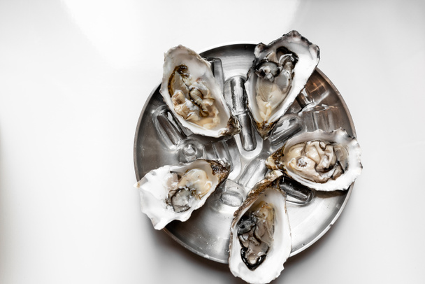 Fresh oysters with lemon. On a white background. Top view.  - Foto, Imagen