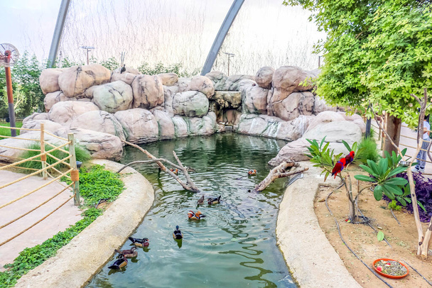 Prachtig weelderig groen uitzicht op Dubai Safari Park zoölogische tuin in Al Warqa en Dubai Zoo achtergrond, de thuisbasis van de meest uiteenlopende scala aan dieren in Dubai, Verenigde Arabische Emiraten - Foto, afbeelding
