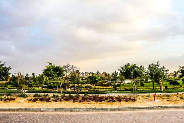 Gyönyörű buja zöld kilátás Dubai Safari Park zoológiai kert Al Warqa és Dubai Állatkert háttér, otthont ad a legváltozatosabb állatvilág Dubai, Egyesült Arab Emírségek - Fotó, kép