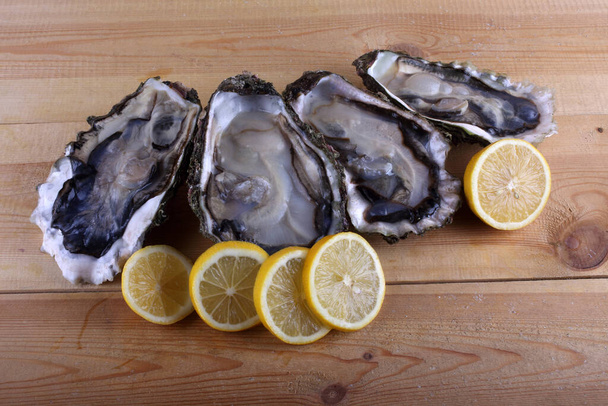 Oysters on table. Sea food - Φωτογραφία, εικόνα