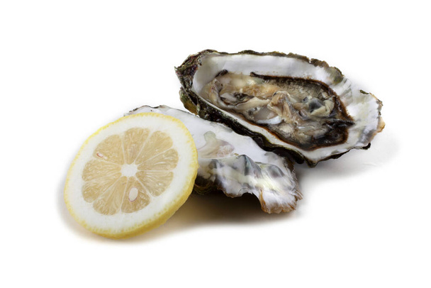 Opened oyster isolated on white - Foto, Imagen