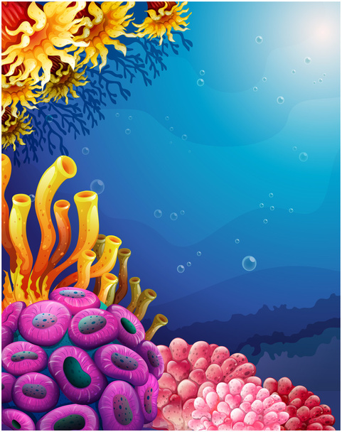 Beautiful corals under the sea - Vector, Image