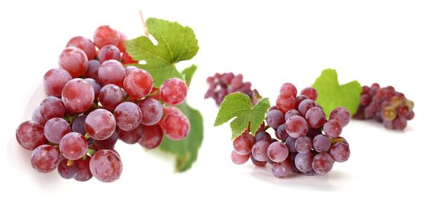 uva, viñedo, uva, vid, fruta, vino, Traube, Weinberg, Trauben, Weinstock, Obst, Wein
, - Foto, imagen