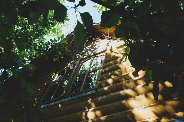  Velha casa de madeira rústica tradicional (cabine de madeira) com pequenas janelas. Floresta verde e macieiras em primeiro plano. Paisagem pastoral
. - Foto, Imagem