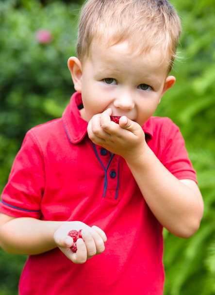 Little boy eating raspberry - Fotó, kép