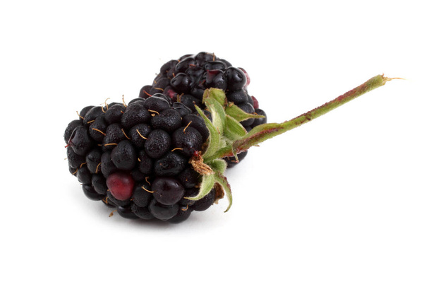 ripe blackberry with green leaves on white background - Foto, Imagem