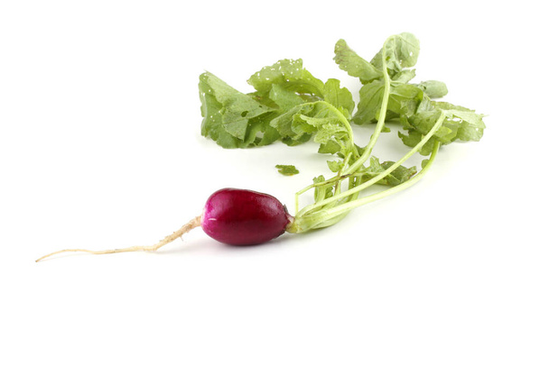 fresh radish isolated on white background - Фото, изображение