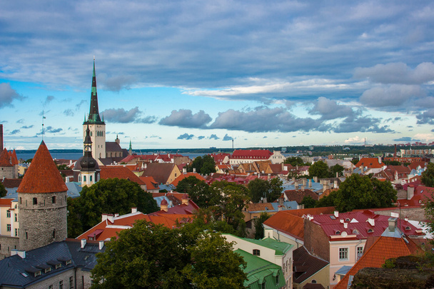 Tallin vista de la ciudad vieja
 - Foto, Imagen