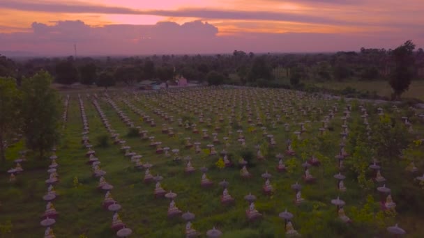 Aéreo de um Buda Gigante observando um jardim de mil budas, Monywa, Myanmar (Birmânia
)  - Filmagem, Vídeo