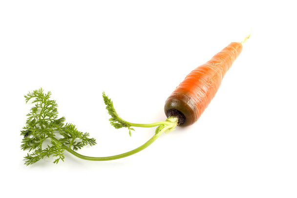 Carrot isolated on white - Foto, imagen