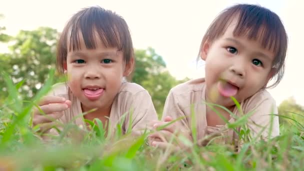 Dvě šťastné sourozenecké dívky ležící na zelené trávě venku v letním parku. - Záběry, video