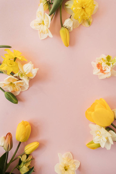 Okrągły wieniec z pustą przestrzenią do kopiowania z żółtego narcyza i kwiatów tulipanów na różowym tle. Mieszkanie świeckie, widok z góry kwiatowy świąteczny koncepcja wakacje - Zdjęcie, obraz