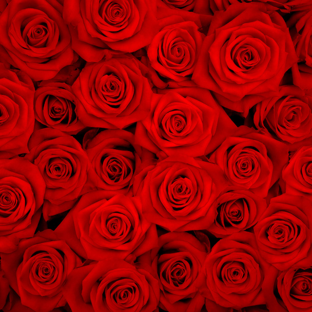 Gran ramo de rosas rojas
 - Foto, imagen