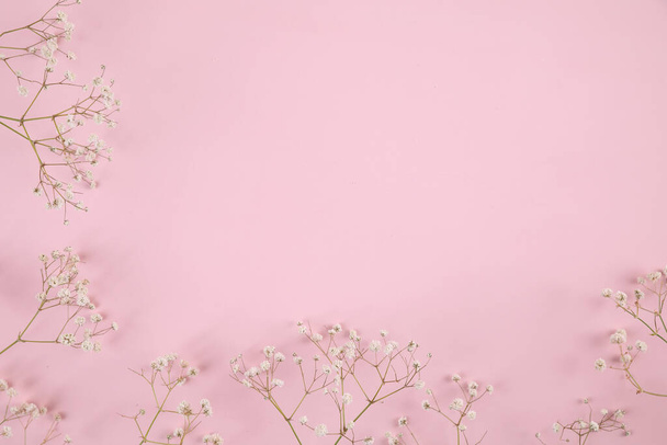 Gipsophila kleine weiße Blütenpflanze isoliert in rosa Hintergrund in der Draufsicht - Foto, Bild