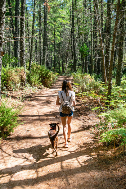 Фотографія мого партнера, який ходив з нашим собакою через ліс, знайдений позаду Марбелли (Іспанія). - Фото, зображення