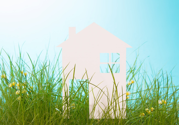 Maison en papier blanc dans l'herbe verte sur ciel bleu
 - Photo, image