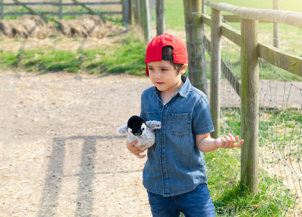 Hayvan kafeslerinin yanında duran aktif çocuk, parlak güneşli bir günde çiftlikteki bir hayvana bakıyor, çocuk gelişimi kavramını ya da tatilde ailesiyle birlikte dışarıda yapılan çocuk aktivitelerini hesaba katıyor.  - Fotoğraf, Görsel