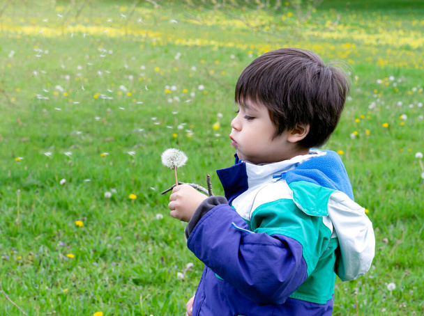 Школьник дул в одуванчик на зеленом фоне травы. Активный мальчик играет на лугу парка в жаркий солнечный день весной или летом, счастливый ребенок весело на открытом воздухе деятельности
. - Фото, изображение