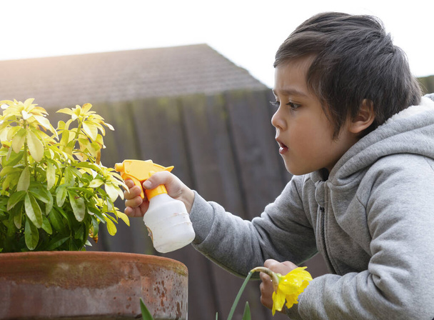 Active kid using spray bottle watering flowers in the garden, Child spraying water on daffodils flowers, Cute boy having fun with gardening, Children gardening concept - Photo, Image