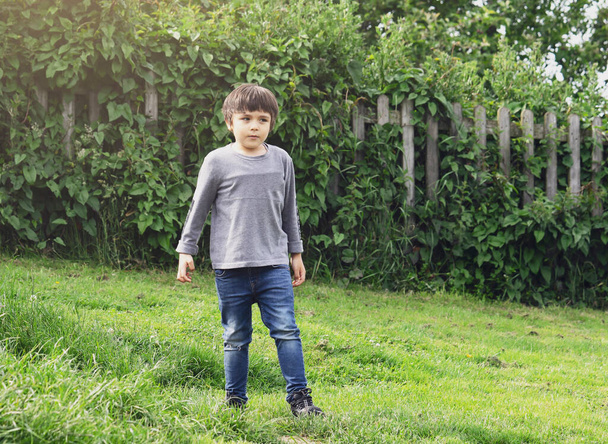 Portrait of little boy standing alone and looking out with thingking face with wooden fence and trees background, 4-5 years old kid wearing  long sleeve t-shirt  and blue jean posing on the grass field - Photo, Image