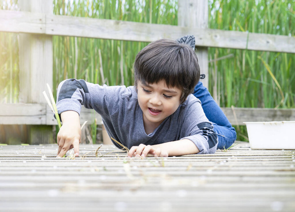 Odkryty portret szczęśliwego chłopca leżącego na drewnianym moście i patrzącego w kamerę z uśmiechniętą twarzą, Aktywne dziecko bawiące się w parku przyrody, Dzieciak mający przygodę w rezerwacie przyrody w słoneczny dzień lato - Zdjęcie, obraz