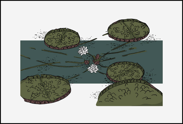 Вікторія Амазоніка - водяна лілія в ставку. Лілі і квітучі квіти лотоса..  - Вектор, зображення