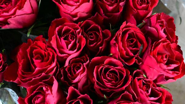 μπουκέτο με όμορφα τριαντάφυλλα την ηλιόλουστη μέρα του καλοκαιριού, κοντά  - Φωτογραφία, εικόνα