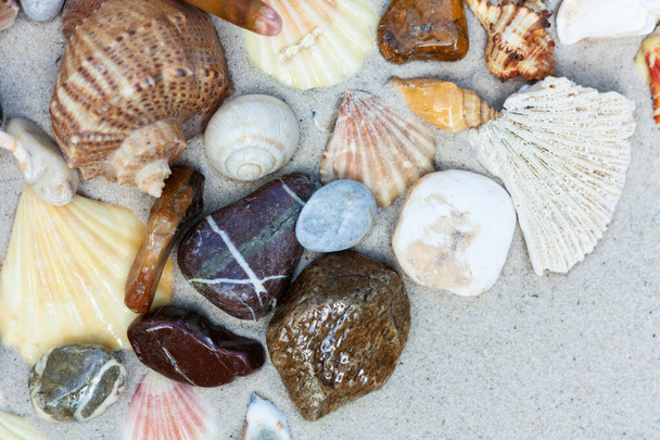 Seashells, sea stars, coral and stones on the sand, summer beach sea background travel concept - Foto, imagen