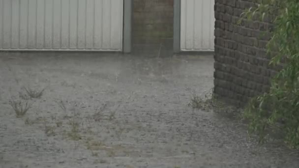 zbliżenie strzał ulewny powódź na ulicach - Materiał filmowy, wideo