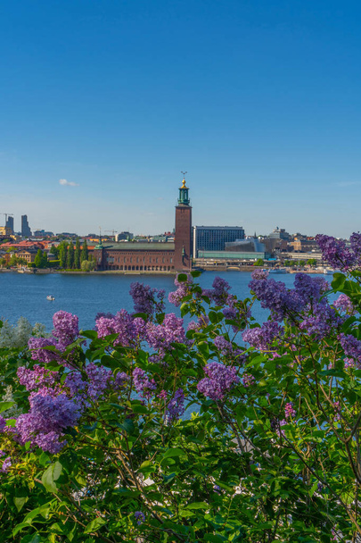 Ratusz w Sztokholmie (Stockholms stadshus). Widok z jeziorem Malaren z dzielnicy Sodermalm. - Zdjęcie, obraz