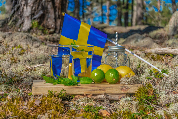 Rafraîchissements d'été. Deux verres d'eau, citrons, citrons verts et menthe sur fond de nature scandinave. Différentes combinaisons de gouttes d'eau. Suède - Photo, image
