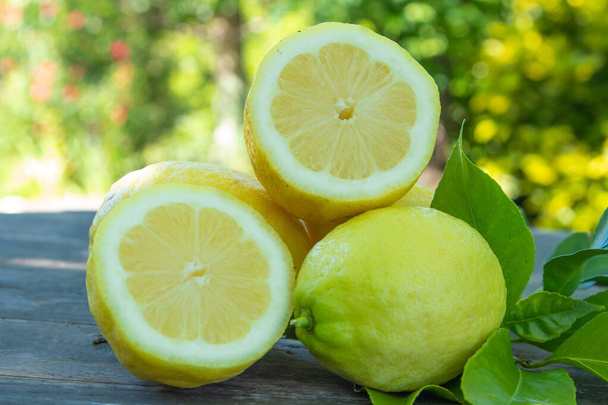 natürliche Zitronen mit grünen Blättern, Früchten und Zitrusfrüchten - Foto, Bild