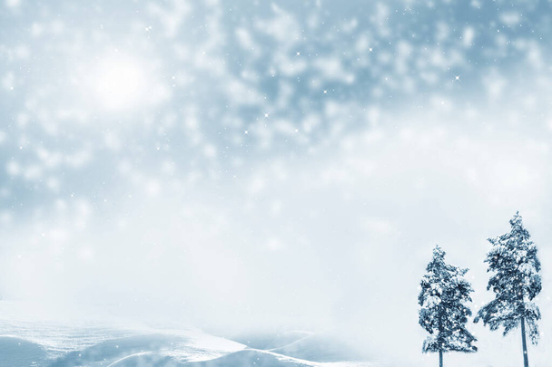 Bosque de invierno congelado con árboles cubiertos de nieve. exterior - Foto, imagen