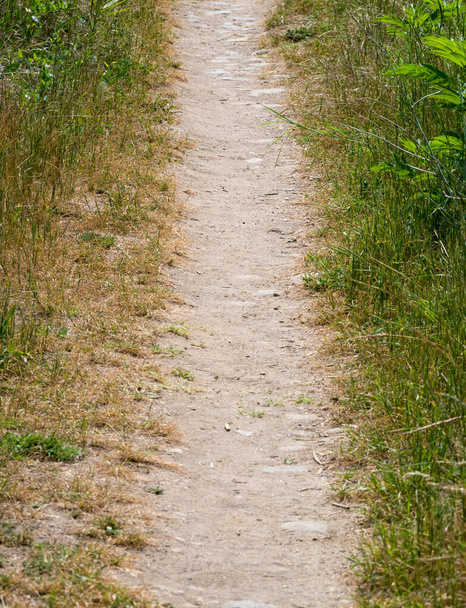 Close up with a footpath or a pathway through grass in nature - Photo, Image
