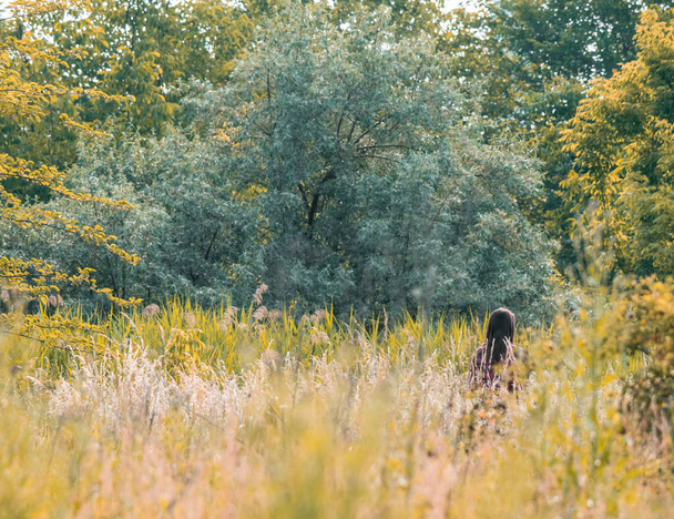 Ragazza solitaria che cammina attraverso l'erba alta. Bellissimo paesaggio primaverile o autunnale con alberi verdi ed erba. - Foto, immagini